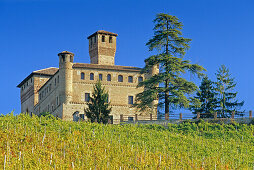 Weinberg und das Castello Grinzane Cavour unter blauem Himmel, Piemont, Italien, Europa