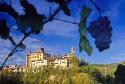 Kastell auf einem Hügel im Sonnenlicht, Barolo, Piemont, Italien, Europa