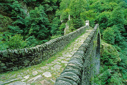 Old stone bridge at Centovalli valley, Ticino, Switzerland, Europe