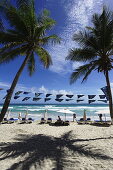 Palmenstrand, Playa El Aqua, Isla Margarita, Nueva Esparta, Venezuela