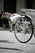 Fiaker, Horse drawn carriage, Vienna, Austria