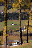 St. Magdalena, Villnoess Valley, Trentino-Alto Adige/Südtirol, Italy
