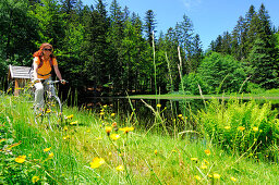 Female cyclist riding through sea of flowers, Bavarian Forest National Park, Lower Bavaria, Bavaria, Germany
