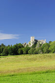 Castle ruin Weissenstein, Regen, Bavarian Forest, Lower Bavaria, Bavaria, Germany