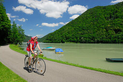 Radfahrerin fährt entlang der Donau, Donauradweg Passau Wien, Schlögen, Oberösterreich, Österreich