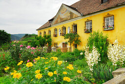 Haus mit einem Bauerngarten, Wachau, Niederösterreich, Österreich