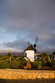 Die Windmühle Molino de Antigua unter Wolkenhimmel, Antigua, Fuerteventura, Kanarische Inseln, Spanien, Europa