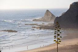 Tourists on the beach, popular beach among windsurfers, Atlantic ocean, Praia de Odeiceixe, Algarve, Portugal