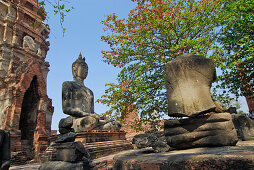 Bhuddha vor Prang, Wat Mahatat, Ayutthaya, Thailand, Asien