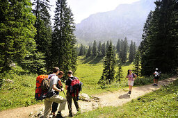 Hikers on trail near Benediktenwand, Bavarian Alps, Bavaria, Germany