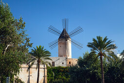Historische Windmühle von Es Jonquet in der Altstadt von Palma, Mallorca, Balearen, Mittelmeer, Spanien, Europa