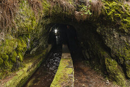 Wasserkanal und Tunnel, mit Moos bedeckt, Galeria de agua, Fuentes Marcos y Cordero, Naturschutzgebiet, Parque Natural de las Nieves, Ostseite des erloschenen Vulkankraters, Caldera de Taburiente, über San Andres, UNESCO Biosphärenreservat, La Palma, kana