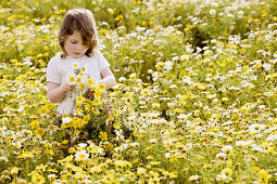 Aussen, Blume, Blumen, Blumenstrauss, Draussen, Eine Person, Eins, Farbe, Freizeit, Gelb, Gras, Halbfigur, Kind, Kinder, Kindheit, Kleinkind, Kleinkinder, Land, Mädchen, Mensch, Menschen, Sonnig, Stehen, Stehend, Tageszeit, Weiblich, Wiese, Wiesen, Wildbl