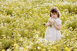 Bouquet, Bouquets, Caucasian, Caucasians, Child, childhood, Children, Color, Colour, Contemporary, Country, Countryside, Daytime, exterior, Female, Flower, Flowers, Girl, Girls, Grass, Grasses, Grassland, Grasslands, Hold, Holding, human, infancy, Infant,