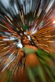 Electrifying Dance Performance at the Madeira Wine Festival, Funchal, Madeira, Portugal