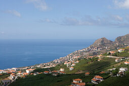 Blick über Häuser und Weinberge der Madeira Wine Company, Estreito de Camara de Lobos, Madeira, Portugal