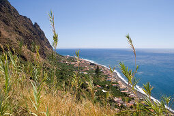 Blick durch Zuckerrohr auf Küste, nahe Paul do Mar, Madeira, Portugal