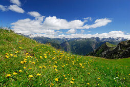 Bergwiese, Valle Santa Maria, Tessiner Alpen, Kanton Tessin, Schweiz