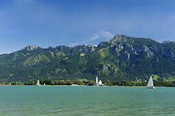 Lake Forggensee with sailboats, Ammergau Alps, East Allgaeu, Bavaria, Germany