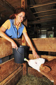 Woman feeding calf with milk, Upper Bavaria, Bavaria, Germany