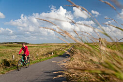 Woman cycling, bird reserve Godelniederung, near Witsum, Foehr island, Schleswig-Holstein, Germany