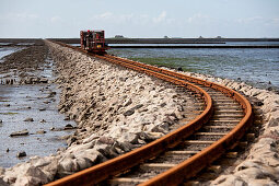 Lorendamm nach Nordstrandischmoor, Beltringharder Koog, Lüttmoorsiel, Nordstrand, Schleswig-Holstein, Deutschland