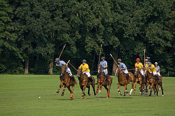 Polo-Turnier, Langenhagen-Maspe, Green, Bäume, Reiter mit Polo-Schlägern galoppieren über das Green