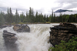 Cascade, Mistaya Canyon, Jasper National Park, Alberta, Canada