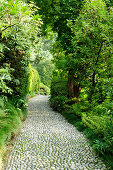 Steinweg in einem Park, Comer See, Lombardei, Italien