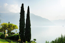 Cypresses, Villa del Balbianello, Lenno, Lake Como, Lombardy, Italy