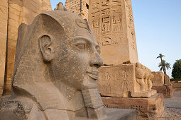 Kopf von Ramses II Statue vor Luxor-Tempel, Luxor, Ägypten