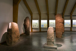 Runensteine im Wikinger Museum Haithabu, bei Schleswig, Schleswig-Holstein, Deutschland, Europa