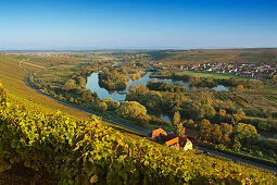 View over vineyards to Nordheim, Franconia, Bavaria, Germany