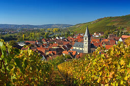 View along a vineyard to Randersacker, Franconia, Bavaria, Germany