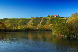 View over Main river to vineyards and Vogelsburg abbey, Volkach, Franconia, Bavaria, Germany