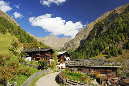 Bauernhäuser mit Garten, Vinschgau, Trentino-Südtirol, Italien