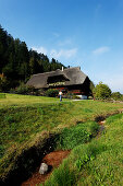 Black Forest Farm, Kirnbach Valley, Wolfach, Baden-Wurttemberg, Germany