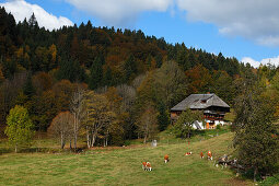 Farm house, Todtmoos, Baden-Wurttemberg, Germany