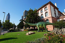 Senckenberg natural history museum, Frankfurt am Main, Hesse, Germany