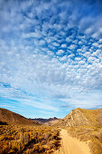 Mountains near Aquila Lodge, Cape Town, Western Cape, South Africa, Africa