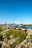 Marina, Tuemlauer-Koog, Schleswig-Holstein, Germany