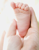 hand holding baby´s foot
