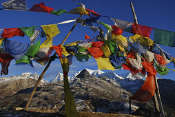 Bunte Gebetsfahnen vor blauem Himmel am Dzongri La, Trek zum Gocha La in der Kangchendzönga Region, Sikkim, Himalaja, Nord Indien, Asien