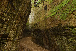 Etruskischer in den Tuffstein geschnittener Hohlweg, Grosseto Region, Toskana, Italien, Europa