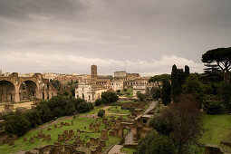 Roman Forum, in the background the colosseum, Rome, Italy, Europe