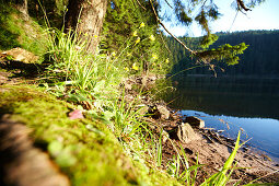 Mummelsee, Seebach, Schwarzwald, Baden-Württemberg, Deutschland