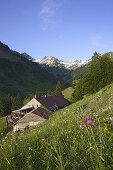 Alpine dairy Laufbichl Alpe, Hinterstein Valley, Bad Hindelang, Allgau, Swabia, Bavaria, Germany