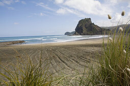 Strand von Piha, Region Auckland, Nordinsel, Tasmanische See, Neuseeland