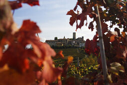 Castiglione Falletto, Langhe, Piemont, Italien