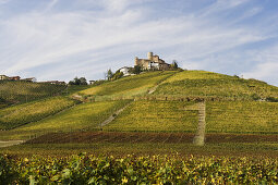 Castiglione Falletto, Langhe, Piedmont, Italy